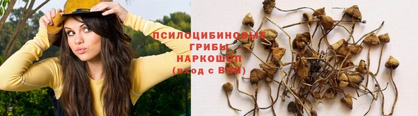 дмт Беломорск