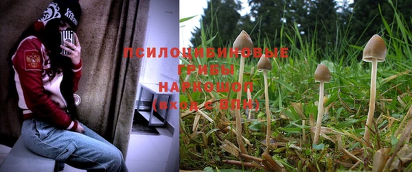 ПСИЛОЦИБИНОВЫЕ ГРИБЫ Балабаново