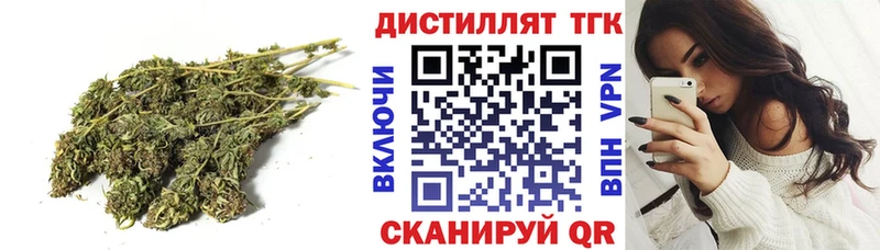 дарнет шоп  Сегежа  OMG как войти  Дистиллят ТГК концентрат 